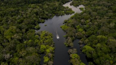 الأمازون النهر الأسرع في العالم وأحد العجائب السبعة